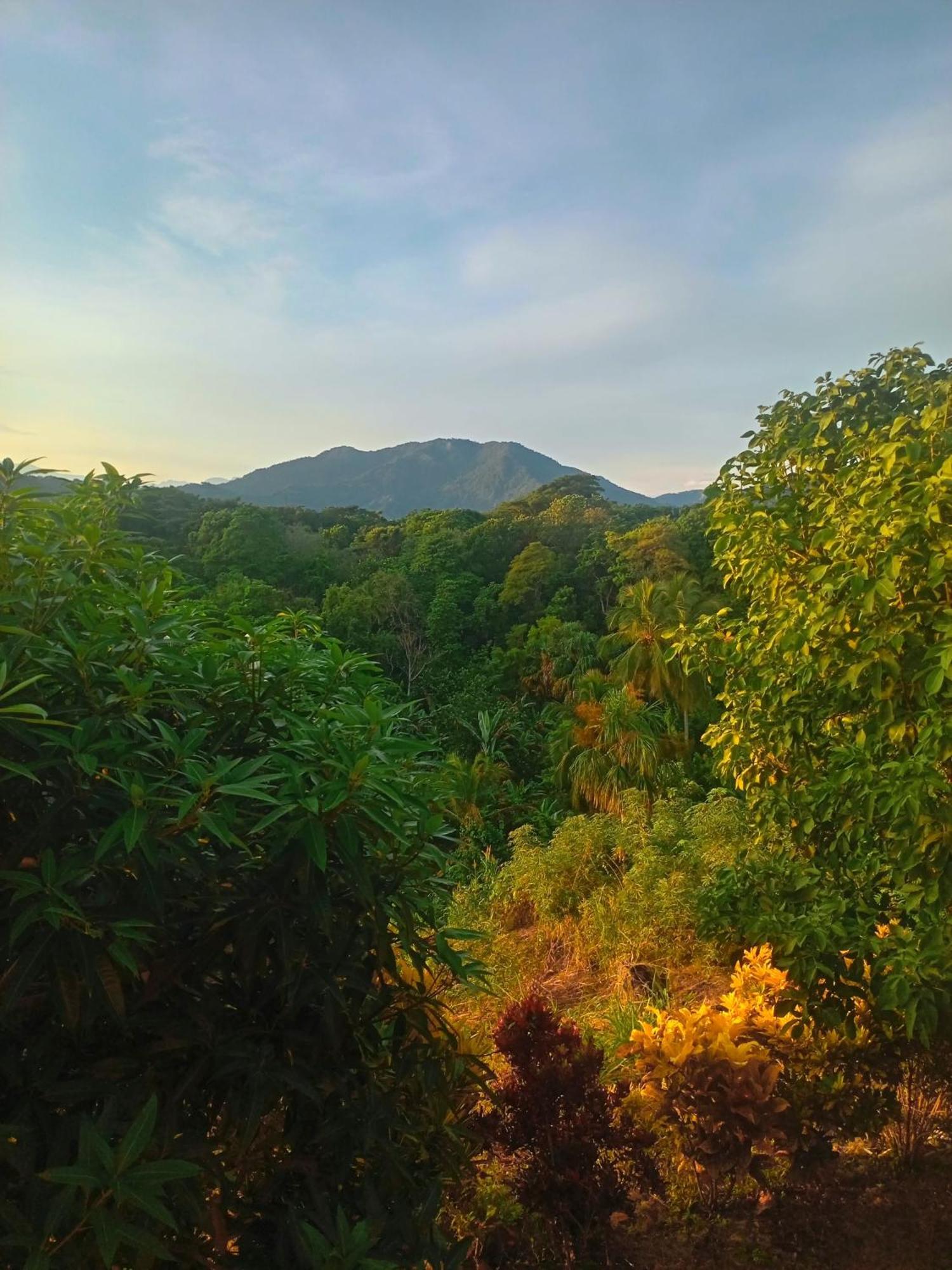 Casa Tolosa Tayrona, Los Cocos La Poza Εξωτερικό φωτογραφία
